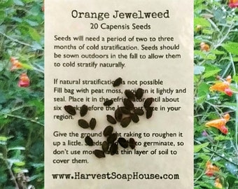 Orange Jewelweed Seeds | Impatiens capensis seeds  | Grow your own Jewelweed.