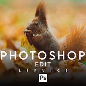 SERVICIO DE EDICIÓN DE PHOTOSHOP, Restauración de fotografías, Manipulación de fotografías, Edición de archivos, Diseño de tarjetas navideñas, Edición de rostros, Eliminación de fondo de Photoshop