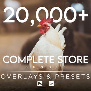 Może przedstawiać: Biały kogut z czerwonym grzebieniem stoi na podwórku. Tekst "20,000+ COMPLETE STORE BUNDLE OVERLAYS & PRESETS" jest wyświetlany nad kogutkiem. Logotypy Photoshopa i Lightrooma są wyświetlane pod tekstem.