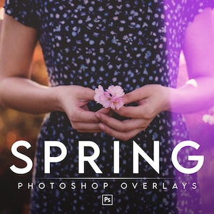 SPRING OVERLAYS BUNDLE Painted flower photo overlays rain overlays, butterfly overlays, light leak overlays