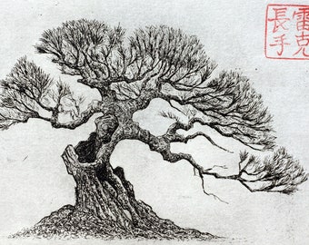 Japanese Pine, Bonsai Print, Etching, Intaglio Print, Hand Printed Art, Fine Art Print, Tree Art, Nature Drawing