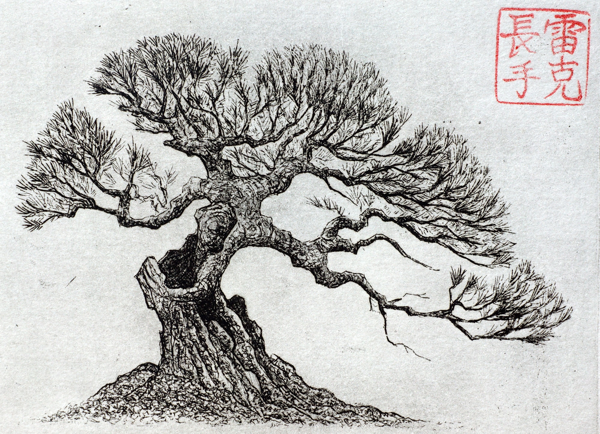 Japanese Pine Bonsai Print Etching Intaglio Print Hand Etsy