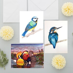 Conjunto 10 Cartões com Envelopes - Patos Mandarim, Martim-pescador, Bluetit | feito à mão | Cartão A6 | Presente para amantes de pássaros