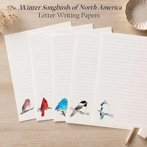 Può includere: Cinque fogli di carta da lettere a righe bianche intitolati Winter Songbirds of North America. Ogni foglio presenta in basso una diversa illustrazione ad acquerello di un uccello, tra cui un cardinale rosso e un uccello blu.