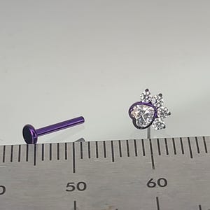 May include: A purple labret stud and a paw-shaped earring. The earring features a heart-shaped center stone surrounded by smaller clear stones. The labret stud has a flat, round end. Both pieces are on a white surface with a ruler.