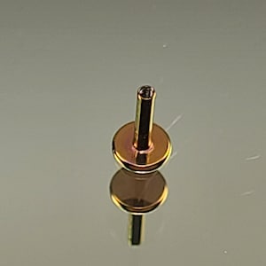 May include: A gold-toned body jewellery piece with a flat disc base and a straight post. The jewellery is made of surgical steel and is suitable for piercings.