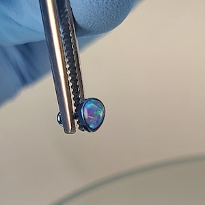18g Titanium Threadless Oval Purple Opal Stud Anodized Ice Blue Finish in Photo *Choose Post Length & Choose Anodized Finish*