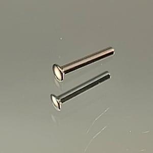May include: Two silver-colored nose studs with a flat, oval-shaped front. The studs are cylindrical with a polished finish, reflecting the light. The background is a light gray, creating a contrast with the shiny metal.