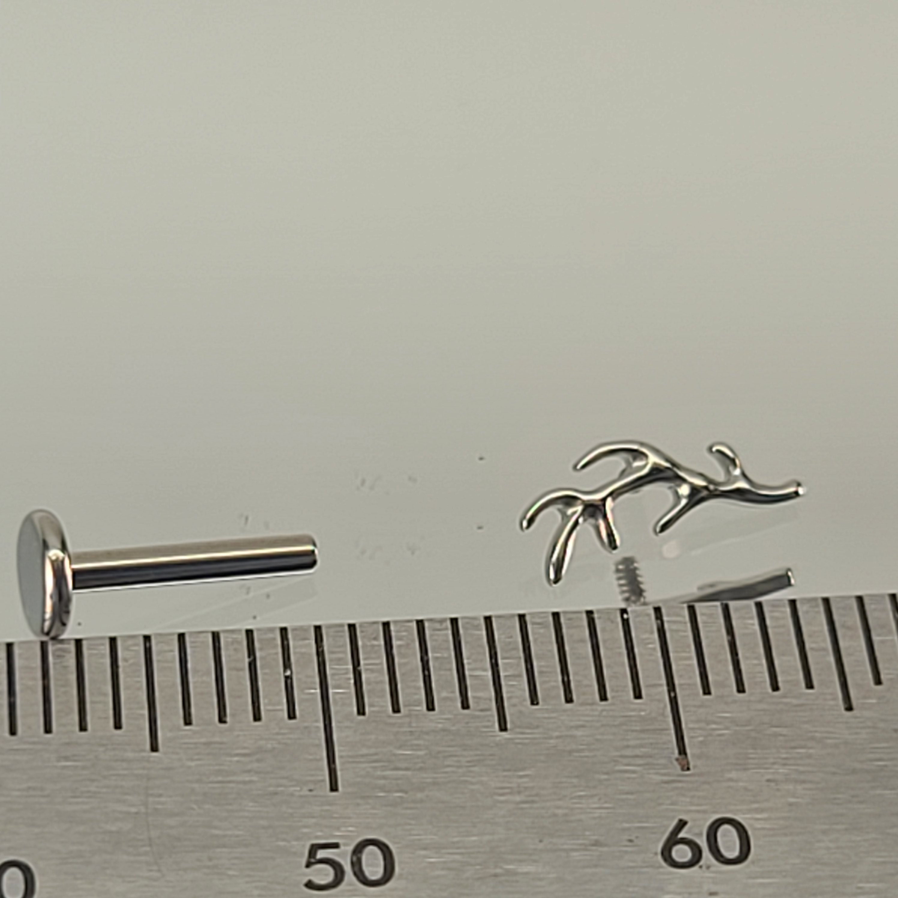 16g Branch Stud Tree Branch Internal Thread Flatback Titanium Stud ...
