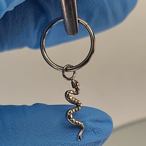 Titanium Hinge Hoop with Snake Dangle Charm *Choose Gauge/Diameter and Anodized Finish Hoop Color*