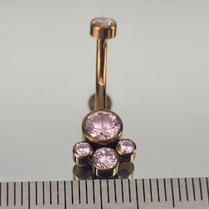 14g (1.6mm) Titanium Pink Gem Cluster Pawprint Internally Threaded Navel Belly Ring w/Light Pink Gems *Choose Finish Color*