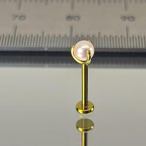 18g Titanium 3mm Faux Pearl Threadless Stud *SINGLE* with Flatback Posts Anodized Yellow Gold in Photo *Choose Anodized Finish and Length*