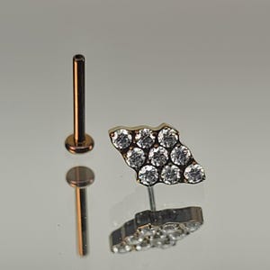 May include: A pair of body jewelry studs. One is a straight post with a flat disc end. The other is a silver-toned stud with a cluster of clear, round gemstones in a decorative shape. The jewelry is displayed on a reflective surface.