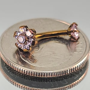 16g Titanium Pink Gem Flower Eyebrow + Gem Curved Barbell Internal Thread for Rook Eyebrow Vertical Labret *Choose Finish & Length*