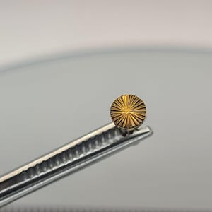 18g Titanium Threadless Low-Profile Bevel Round Disc Flatback Stud Bronze Finish in Photo *Choose Anodized Finish & Post Length*