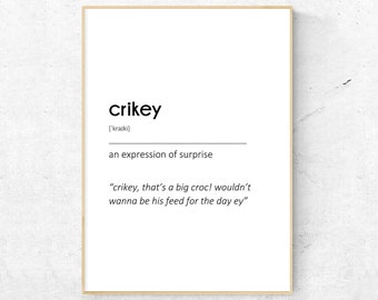 Not Here To Fuck Spiders - Australian Slang. The Term Is Derived From And Is Another Way In Saying, "not Here To Fuck Around. I Am Here To Get The Job Done - Foto 4