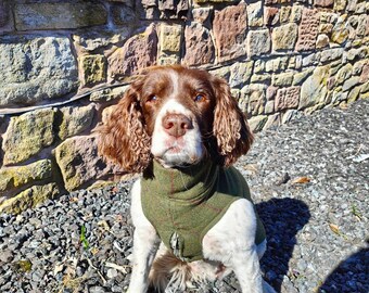 Tweed Spaniel dog jacket