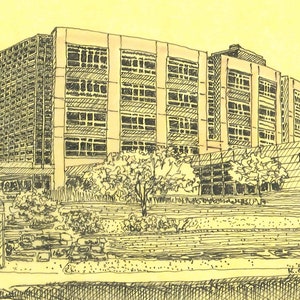 May include: A black and white ink drawing of a large building with many windows. The building is surrounded by trees and bushes. The drawing is on a yellow background. The text "K. Ogden 2015" is in the bottom right corner.
