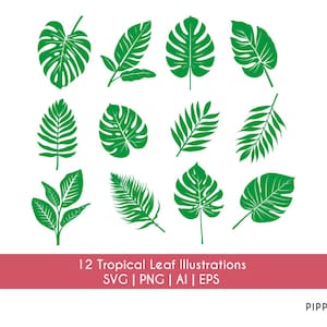 Handgezeichnete tropische Blätter Vektor Bundle | Herunterladbar in SVG-, AI-, EPS- und PNG-Format | Laser-Gravur oder Cricut | Blatt | Tropisch Clipart
