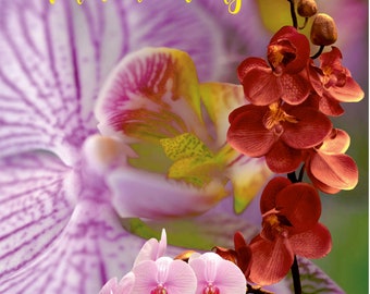 Congratulations on the orchids - wedding, 17th wedding anniversary - to download
