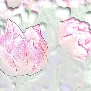 Télécharger , Arrière-plan, Image, Tulipe, Laurier-rose, Coquelicot