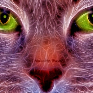 Poster &quot;Cat&quot;, cat, print