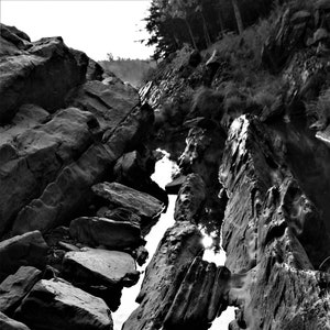 Afternoon at Jay Cooke