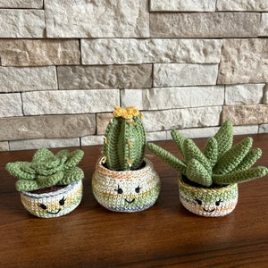 Crochet plant in pot, crochet cactus, crochet succulent, plant amigurumi, bookshelf decor, desk decor