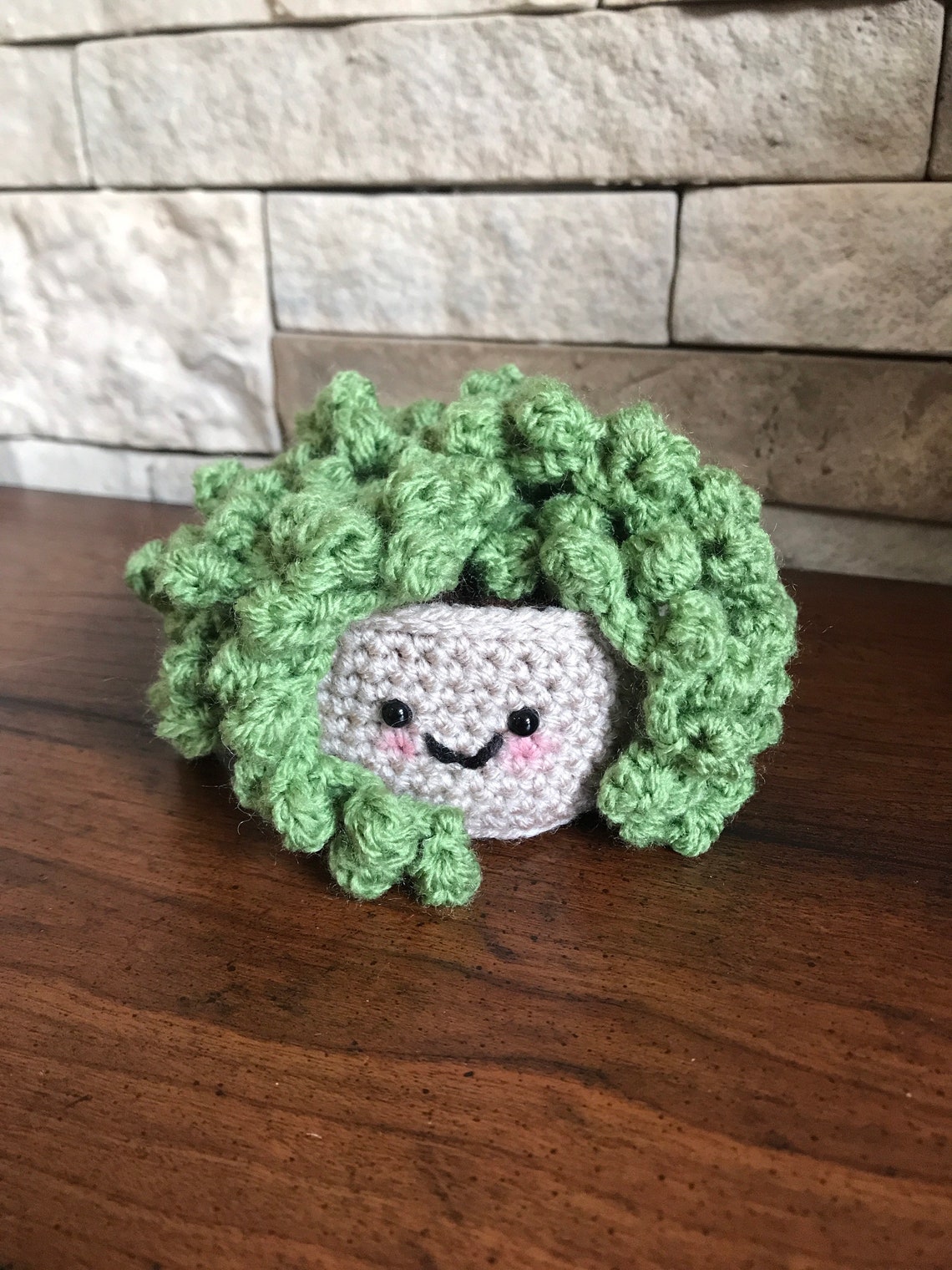 String of pearls crochet succulent crochet plant in pot with Etsy