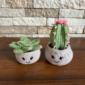 Crocheted cactus and succulent, happy face plant, cute amigurumi, desk decor