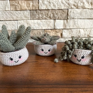 Crochet succulent bundle, aloe vera plant, string of pearls crochet, rosette succulent yarn plant, decorative succulents