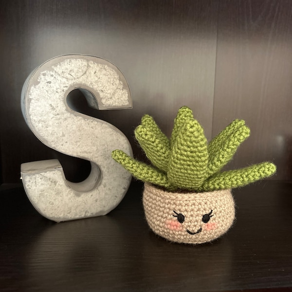 Crochet aloe vera plant in pot with face, faux plant desk decor, bookshelf plant, gift for plant lover