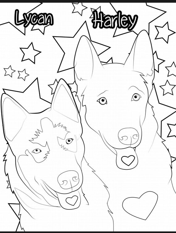 Husky Coloring Book | Etsy