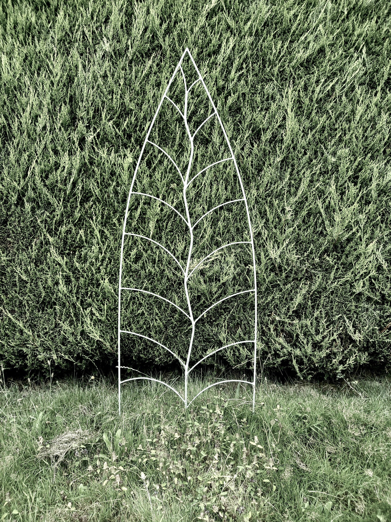 Trellis Leaf Shape Galvanised Metal Leaf Trellis Plant Etsy UK