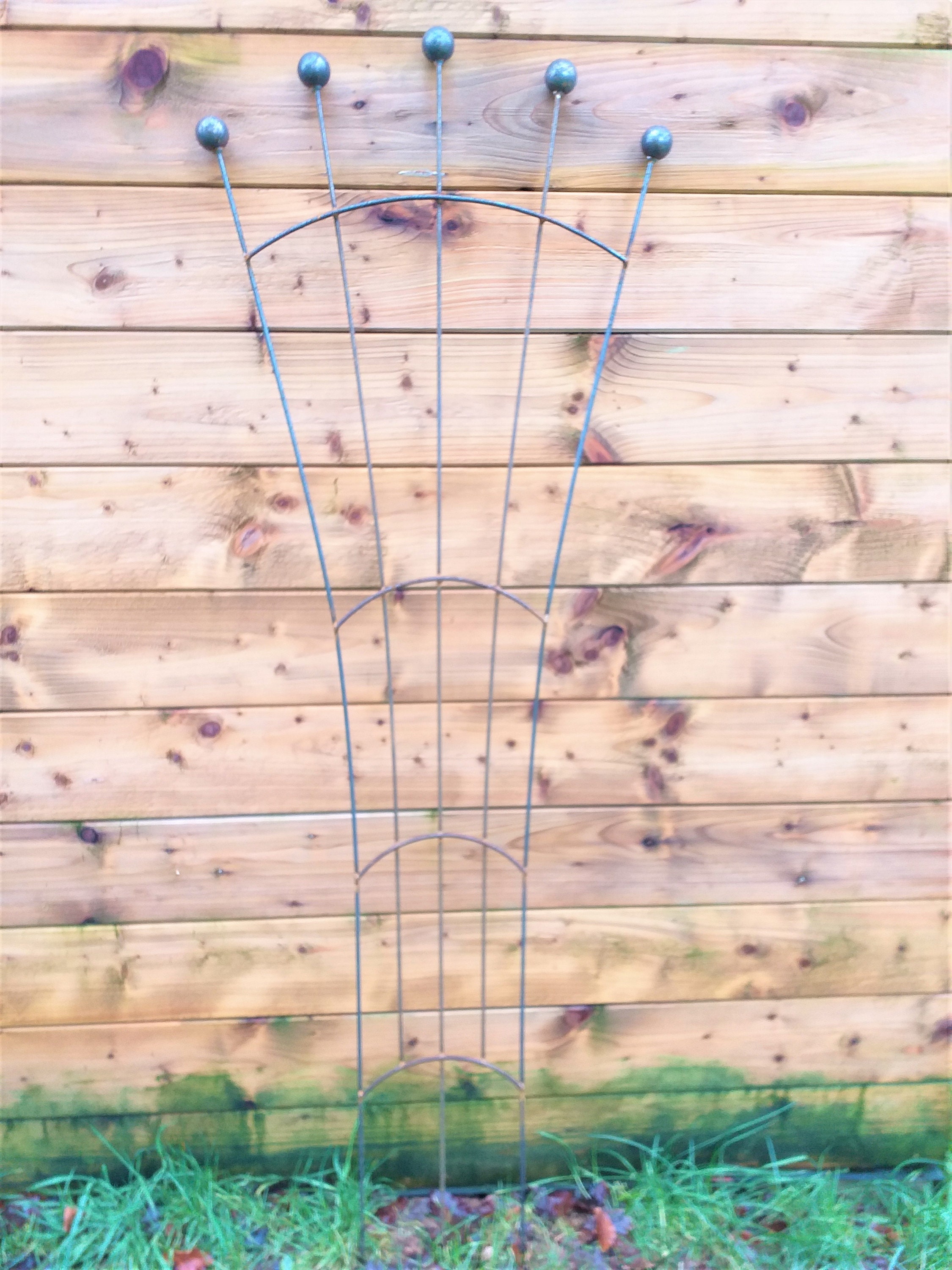 Trellis Plant Support Fan Shape Metal Trellis Garden Etsy UK