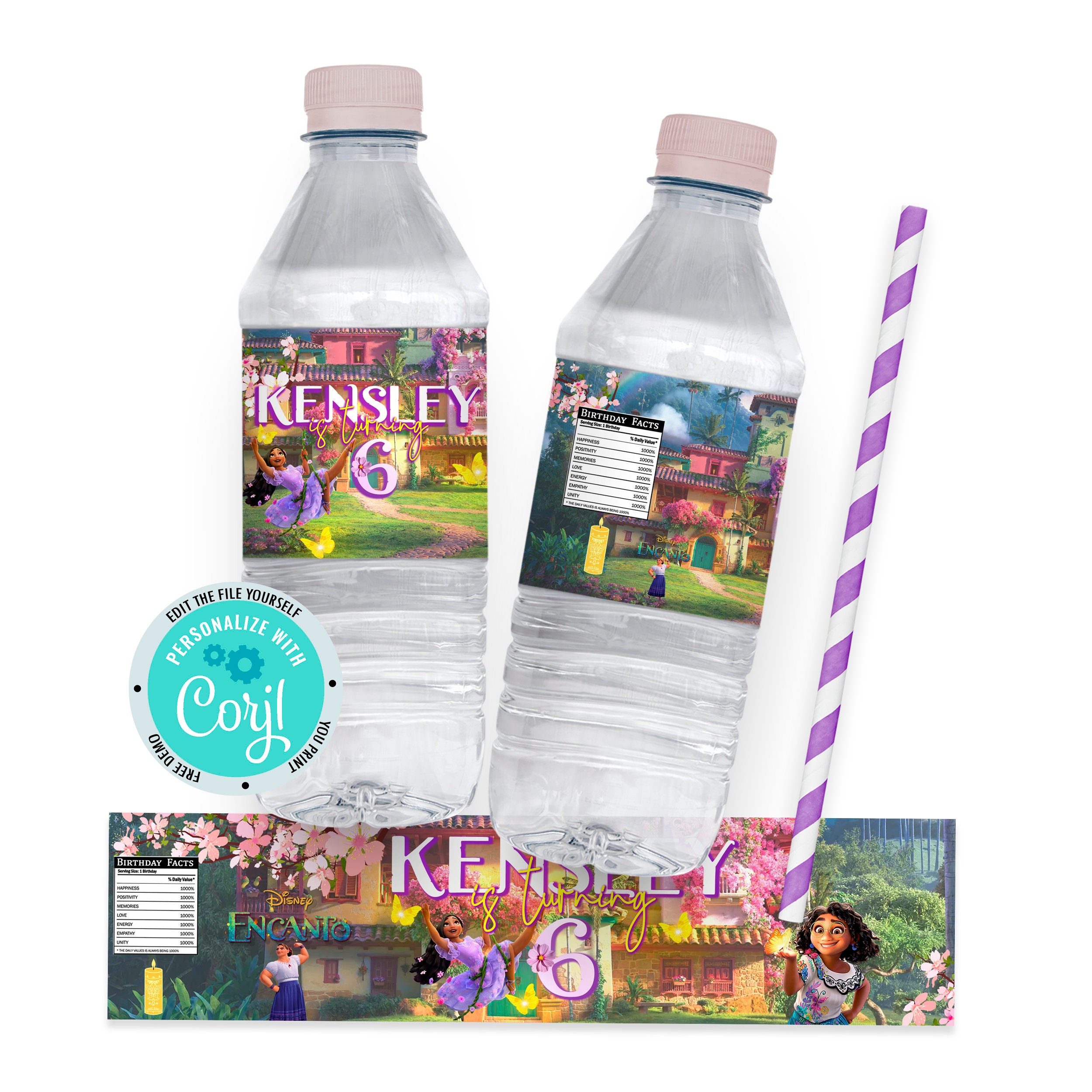 24pcs Custom Disney Encanto Theme Water Bottle Labels Encanto
