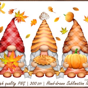 Fall Thanksgiving Gnomes Png, Fall Png, Autumn Gnomes Png Clipart, Pumpkin Pie Png, Fall Gnomes Sublimation, Autumn Girl Png, Fall Plaid Png