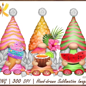Summer Girl Gnomes Png, Summer Sublimation, Ice Cream Gnome Png, Cocktail Gnome Png File, Watermelon Gnome Png, Hello Summer Png