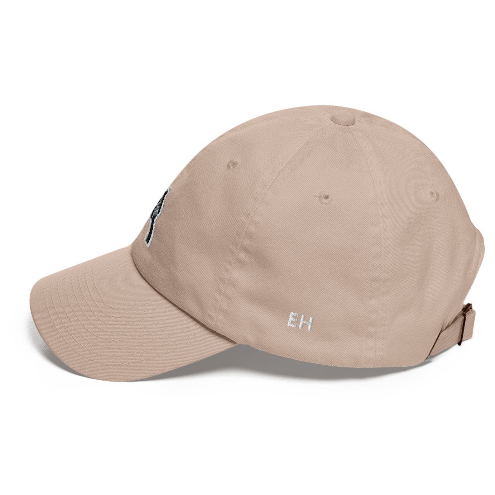 The Plug Hat/ Plug Dad Cap/ Dad Baseball Hat/ Plug Embroidered Hat