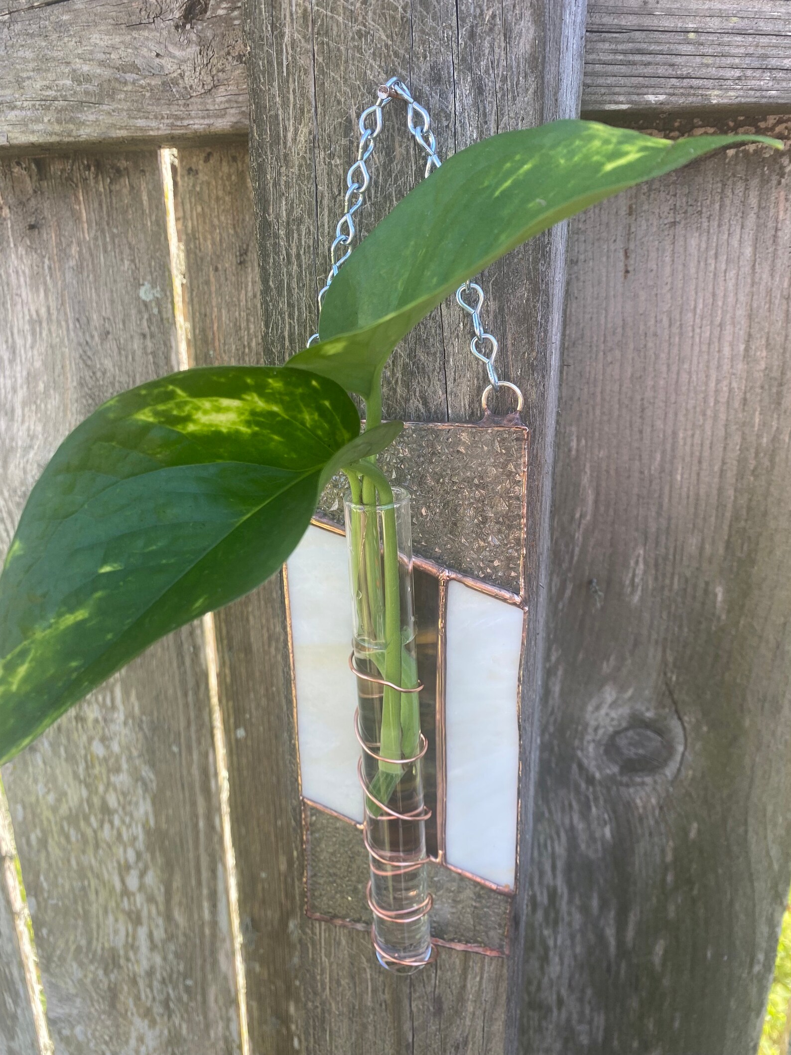 Stained Glass Propagation Wall Hanging/suncatcher Etsy