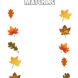 May include: An educational worksheet titled AUTUMN LEAVES MATCHING featuring two vertical columns of various autumn leaves in shades of orange, yellow, brown, and green, designed for a matching activity with empty space in the center.