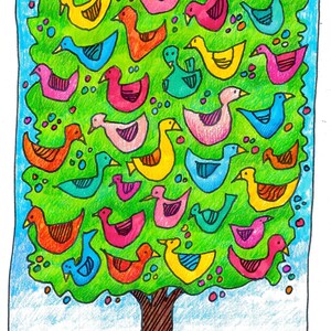 5 pacotes de 5 x 7 cartas ilustrando a parábola de Jesus sobre o grão de mostarda