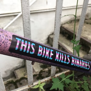 1 cat-eye/reflective bike sticker “this bike kills binaries” trans flag