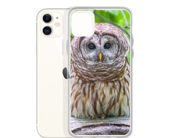 Juvenile Screech Owl iPhone Case | Juvenile Screech Owl iPhone Cover | Juvenile Screech Owl Phone Case