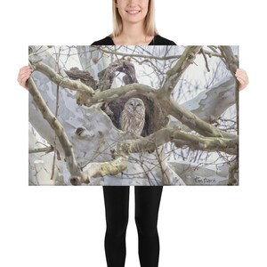 Barred Owl in the Trees Canvas Print Wall Art Housewarming Gift