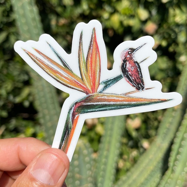 Ave de Paraiso Sticker, Bird of paradise sticker, Painting sticker, birds sticker, Flowers Sticker, mexican sticker, hummingbird sticker