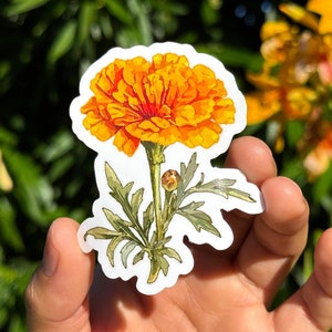 Flor de Cempasúchil Sticker, Marigold sticker, Day of the dead sticker, Altar de muertos, Mexican Art, mexican stickers, Marigold Flowers