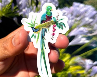 Quetzal Sticker, Quetzal, Guatemala Sticker, Guatemalan, Bird sticker, Tropical sticker, quetzal bird, latin sticker, hispanic