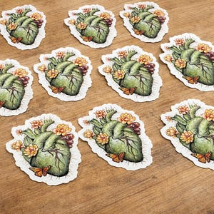 May include: A collection of stickers featuring a detailed illustration of a human heart adorned with flowers and butterflies. The heart is green with intricate veins, and the flowers are yellow and orange.