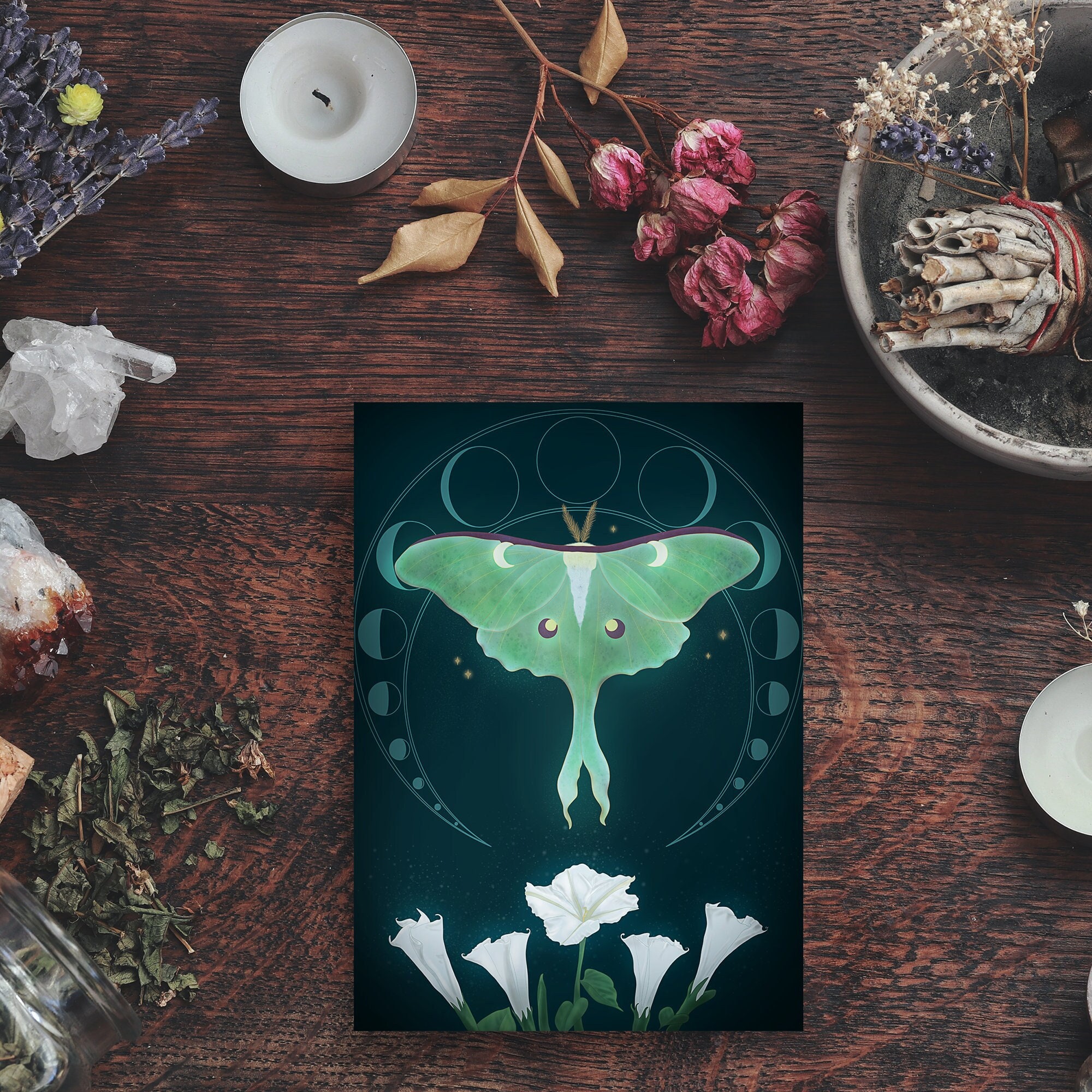 Luna Moth Painting, Magical Moon Flower Poster, Lunar Fantasy Wall Art ...